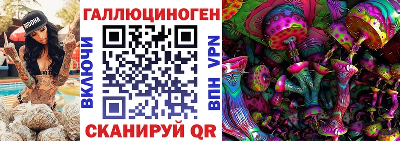 купить   Иркутск  hydra зеркало  Галлюциногенные грибы GOLDEN TEACHER 