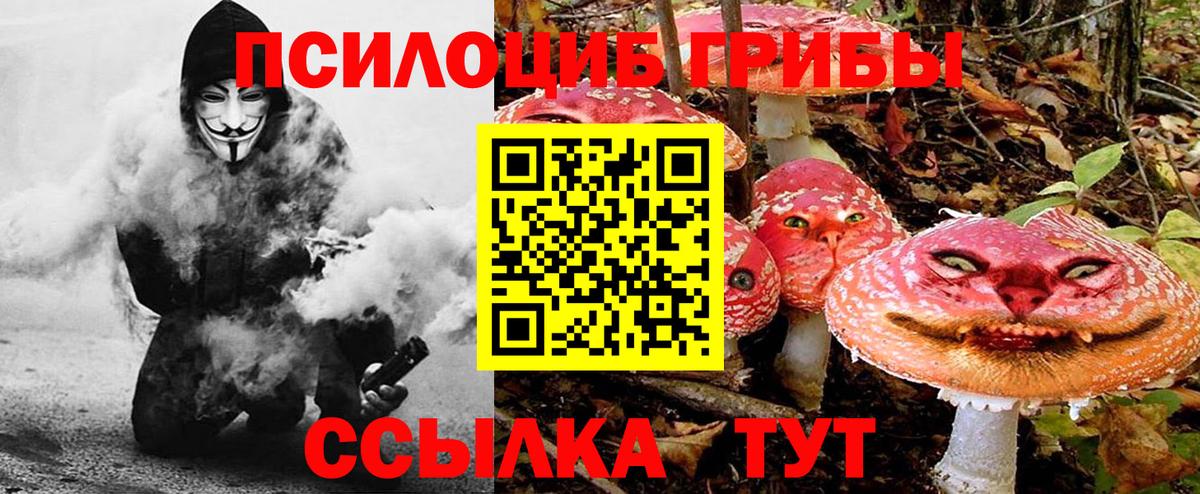 Псилоцибиновые грибы Cubensis  Вход с VPN  Иркутск  Галлюциногенные грибы Psilocybe 