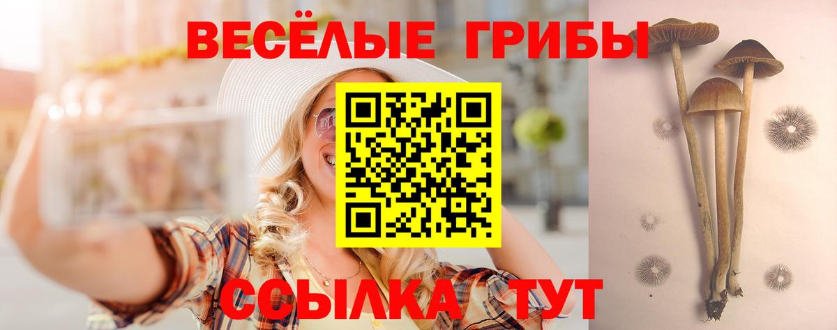 Иркутск  Канабис  Мефедрон кристаллы  COCAIN  Экстази  Вход с VPN  ГАШИШ 